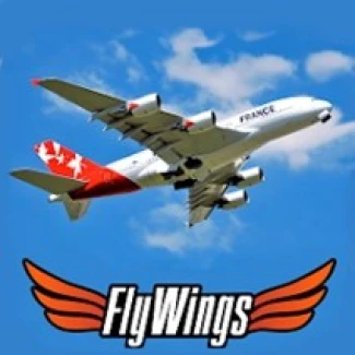 Fly Wings Flight Simulator